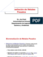 Biorremediacion de Metales Pesado