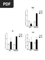 RT Pcr2 Graficos