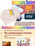 Cap II - Curs 5 - 6 - Somatosensory System - 2014 - 2015 - PDF