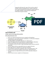 Nucleic Acids