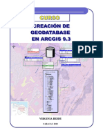 2010 Creacion Geodatabase Arcgis 93