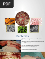 Bacterias