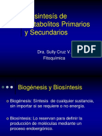 2.biosintesís de Metabolitos Primarios y Secundarios.2015