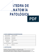 3er Año Medicina 2013-Anatomia Patologica