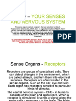 GCSE OCR GATEWAYBiology - YOUR SENSES AND NERVOUS SYSTEM (Includes About Eyes)