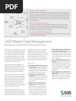 Sas Master Data Management PDF