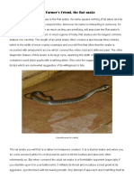 The Farmer's Friend, The Rat Snake