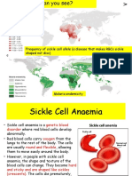 Mutation and Sickle Cell