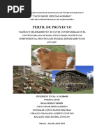 Perfil de Proyecto de Cuyes