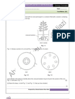 Transport in Plants (Vascular Bundle)