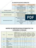 Matriz de Imp y Politica Ambiental