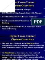 (System Overview) : Digital Cross-Connect