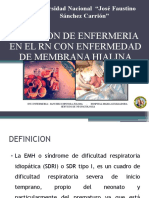 Atencion de Enfermeria en El RN Con Emh