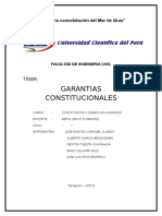 Garantias Constitucionales