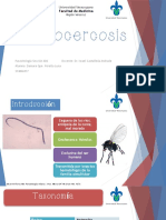 Oncocercosis