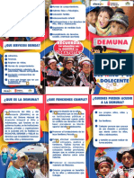 Triptico y Calendario Demuna 2015