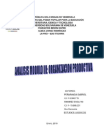 Analisis Modulo III Organizacion Productiva