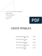 Caso Penal - Clinica Penal 1