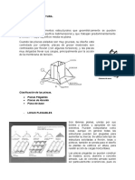 Sistema de Estructura - Placas