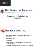 The Endocrine Pancreas: Regulation of Carbohydrate Metabolism