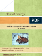 Energy Flow