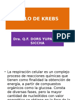 CICLO de KREBSMicrosoft Office PowerPoint