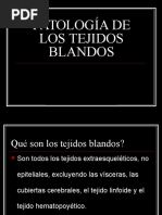 Tejidos Blandos