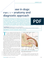 2013 Claw Disease in Dogs Part 1 - Anatomy and Diagnostic Approach