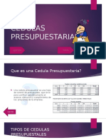 Cedulas Presupuestales Trabajo Costos