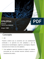 Epilepsia Final