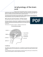 Anatomy and Physiology of The Brain and Spinal Cord