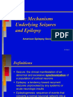 Basic Mechanism of Epilepsy N Seizures