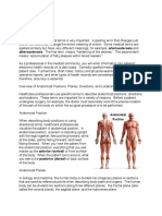 Overview of Anatomical Positions