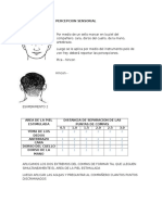 Arco Reflejo Informe de Fisio