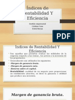 Indices de Rentabilidad Y Eficiencia.