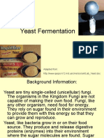 Yeast Fermentation Lab