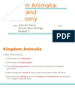 Characteristics of Animals-2