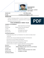 Curriculum Vitae Arslan