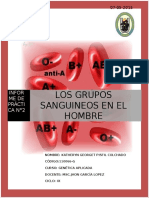 Práctica N°02 Determinación de Grupos Sanguíneos