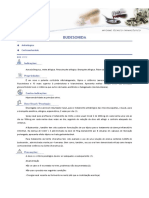 Budesonida PDF