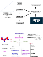 Bioelementos y Biomoleculas