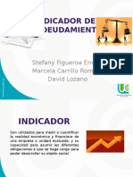 Indicadores de Endeudamiento