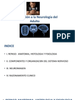 1 Clase Introducción A La Neurología Del Adulto2016marzo