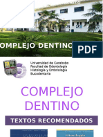 Anatomia Dental Pulpa