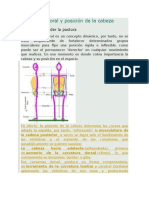 POSTURA