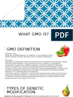 Gmo Prezi