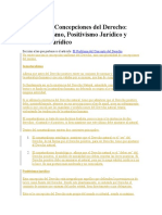 Principales Concepciones Del Derecho Iusnaturalismo Positivismo Realismo