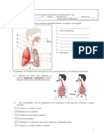 Ficha de Avaliacao de Ciencias Da Natureza Do 6 Ano Sistema Respiratorio1 110223123100 Phpapp02