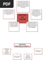 Evolución Del Lenguaje