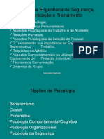 Psicologia Na Engenharia de Segurança Comunicação e Treinamento